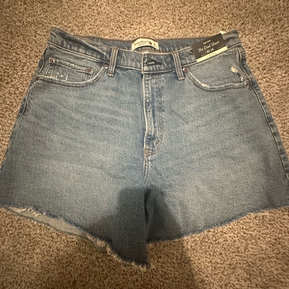 Abercrombie & Fitch Denim Blue Jean Shorts